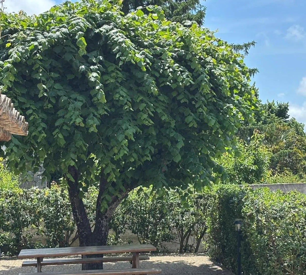 La Bastide De Charme Villa Vence